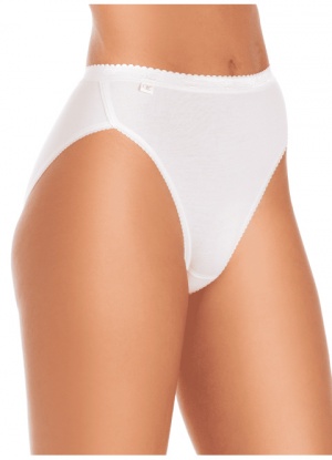 Wysteria Lane Boxed 3 Pair Pack Of High Leg Classic Briefs